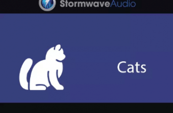 Kitten Meow Pack 1 – Free Download