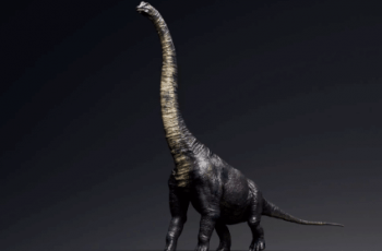 Brachiosaurus Sauropod – Free Download