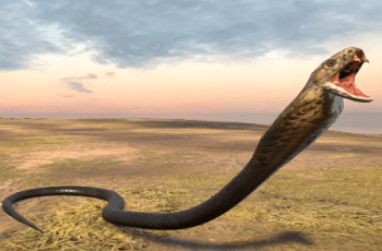 Cobra Rigged, Animated and Textured – Free Download