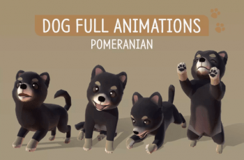 DOG Full Animations – Pomeranian – Free Download DOG Full Animations – Pomeranian – Free Download