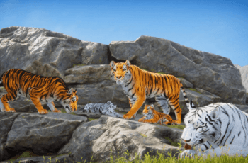 Realistic Tiger – Free Download Realistic Tiger – Free Download