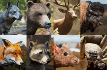 Animalia – Starter Kit – Dev Community Animalia – Starter Kit – Dev Community